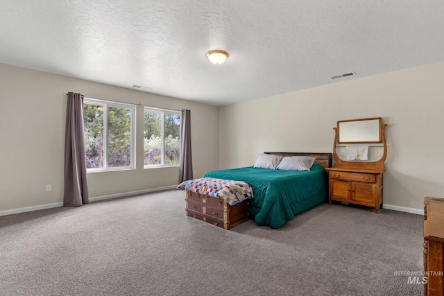 207 Lainey Ln, Idaho City, ID 83631 - bedroom featuring carpet floors and a textured ceiling