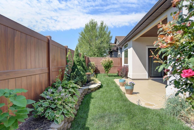 view of yard featuring a patio area