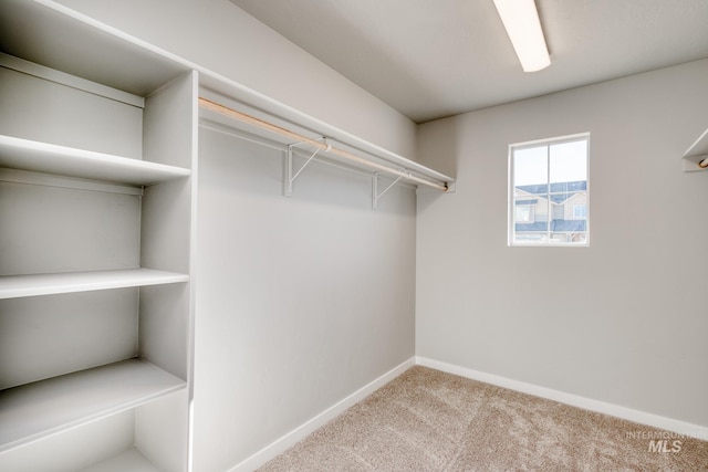 spacious closet with carpet flooring