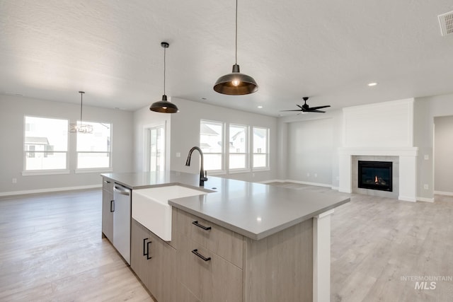 kitchen with stainless steel dishwasher, light wood-type flooring, and a healthy amount of sunlight