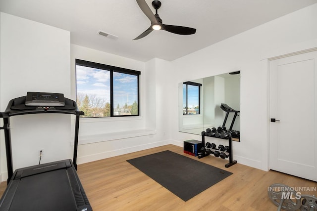 exercise room with hardwood / wood-style floors and ceiling fan