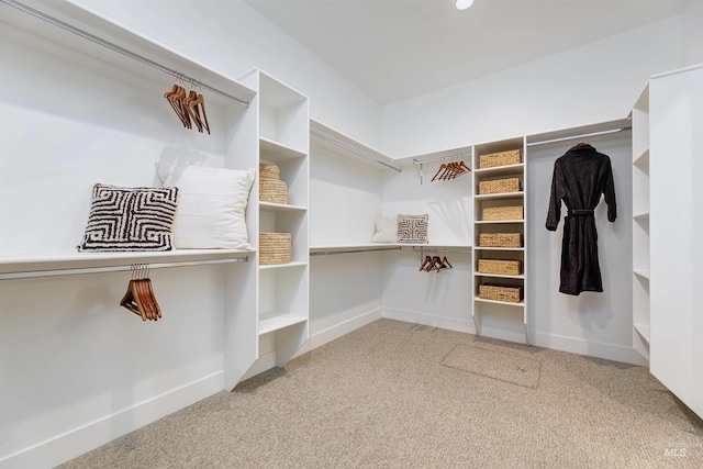 spacious closet featuring carpet