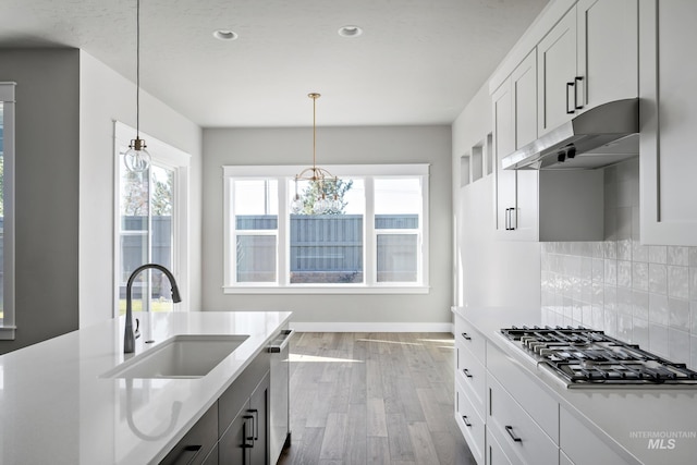 kitchen with tasteful backsplash, wood finished floors, stainless steel appliances, under cabinet range hood, and a sink