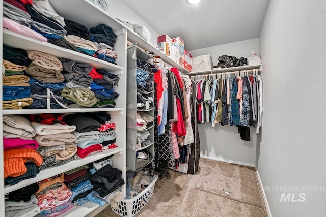 12740 Abbeygate Dr, Nampa, ID 83651 - spacious closet with carpet flooring