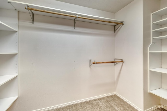1921 Arcata Way, Ontario, OR 97914 - spacious closet with carpet