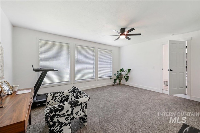 15103 Castle Way, Caldwell, ID 83607 - workout area featuring a ceiling fan, carpet floors, and baseboards