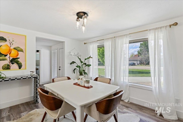 15103 Castle Way, Caldwell, ID 83607 - dining room featuring light wood-style flooring and baseboards