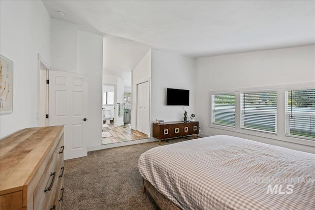 15103 Castle Way, Caldwell, ID 83607 - carpeted bedroom featuring multiple windows and connected bathroom
