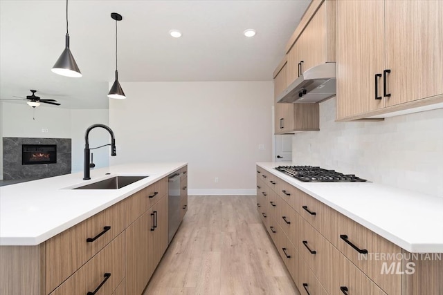 6150 S Binky Ave, Meridian, ID 83642 - kitchen featuring a sink, extractor fan, light brown cabinets, appliances with stainless steel finishes, and ceiling fan