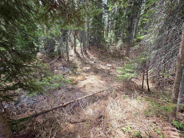 2260 Franks Rd, Donnelly, ID 83615