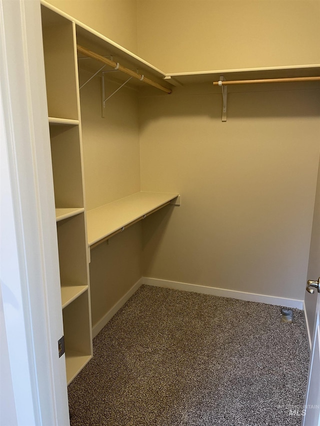 walk in closet with dark colored carpet