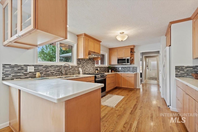 kitchen with appliances with stainless steel finishes, a peninsula, light countertops, under cabinet range hood, and a sink