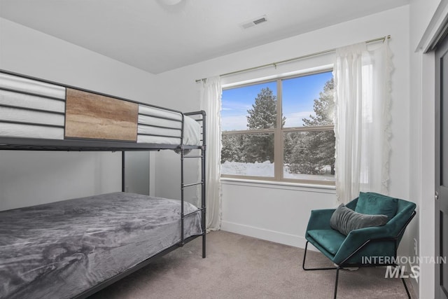 bedroom featuring carpet