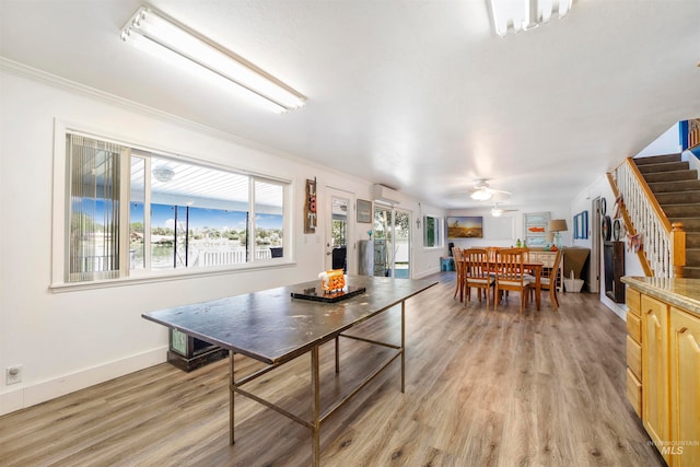 dining room with ceiling fan, light hardwood / wood-style flooring, and crown molding