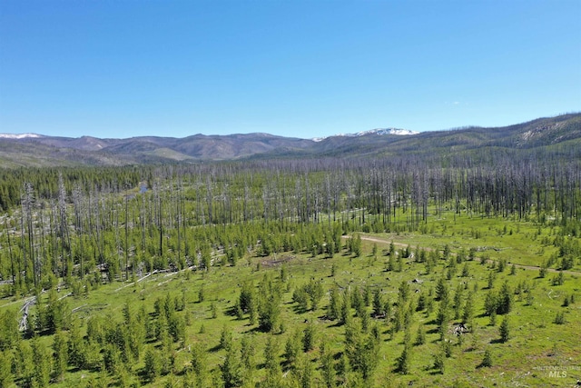 532 Warren Creek Rd, Warren, ID 83671 - view of mountain backdrop with a heavily wooded area