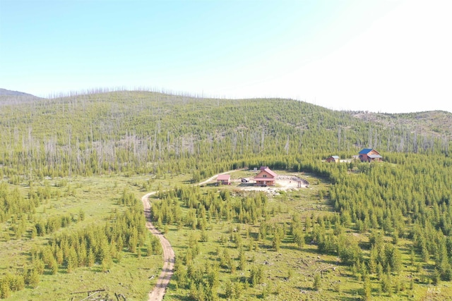 532 Warren Creek Rd, Warren, ID 83671 - mountain view featuring a forest