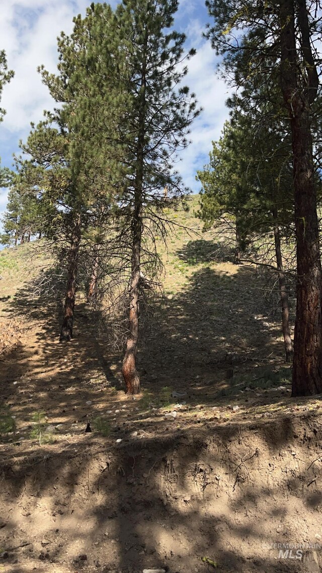 4395 N Pine Featherville Rd, Featherville, ID 83647