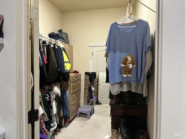 view of walk in closet