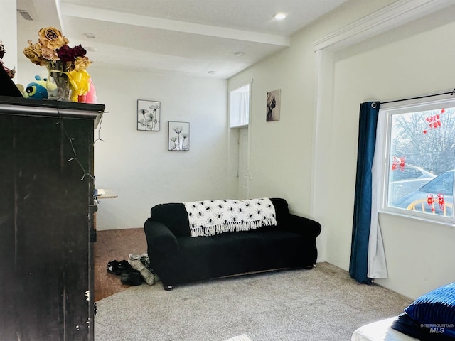 living room with carpet flooring