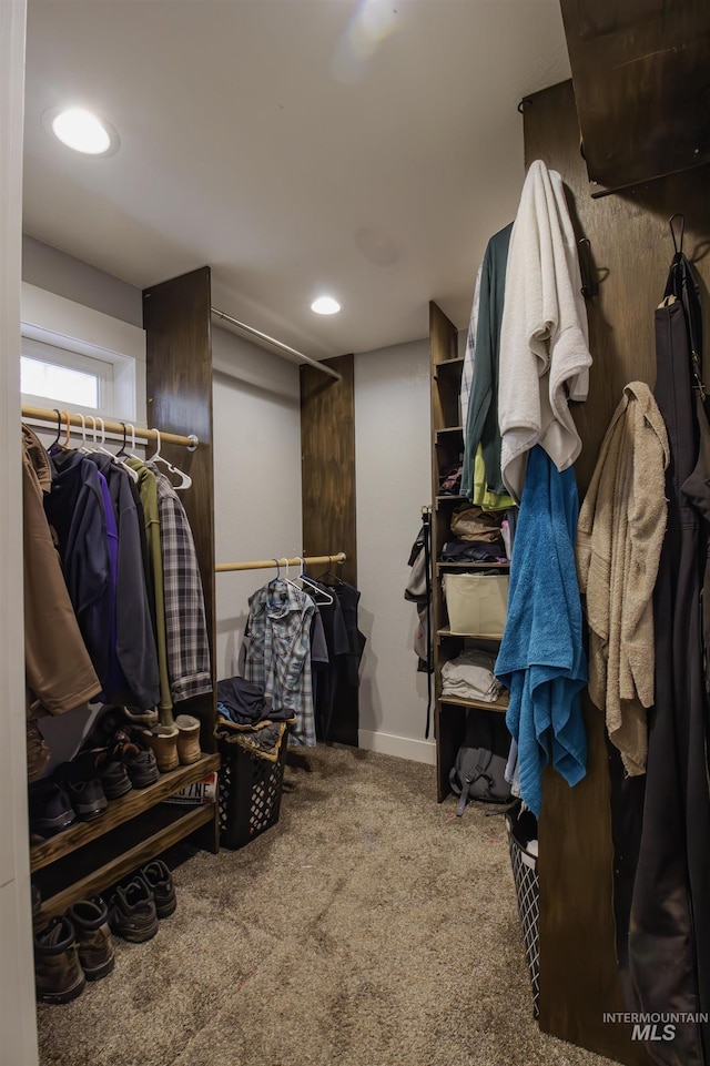 walk in closet with carpet