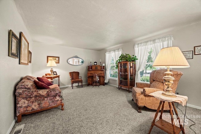 7425 Robinson Rd, Kuna, ID 83634 - living room with a textured ceiling and carpet floors