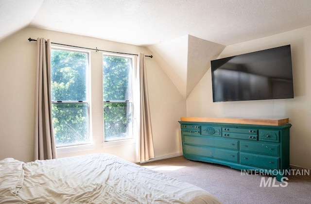 304 6th Ave, Lewiston, ID 83501 - bedroom with vaulted ceiling, light carpet, and baseboards