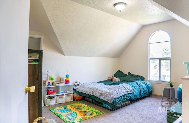 304 6th Ave, Lewiston, ID 83501 - carpeted bedroom with a textured ceiling, lofted ceiling, and multiple windows