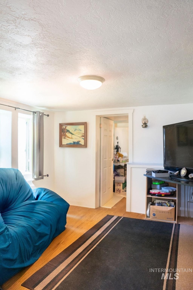 304 6th Ave, Lewiston, ID 83501 - living room with a textured ceiling