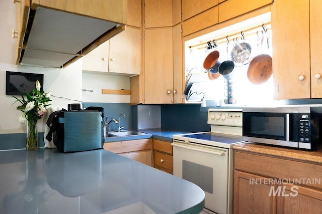 304 6th Ave, Lewiston, ID 83501 - kitchen with stainless steel microwave, white electric range, and a sink