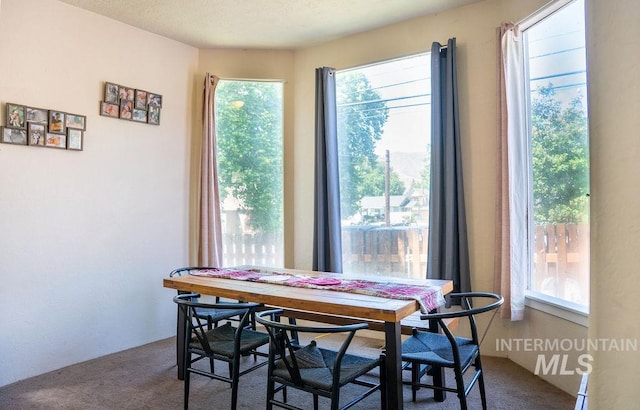 304 6th Ave, Lewiston, ID 83501 - dining room featuring carpet flooring and plenty of natural light