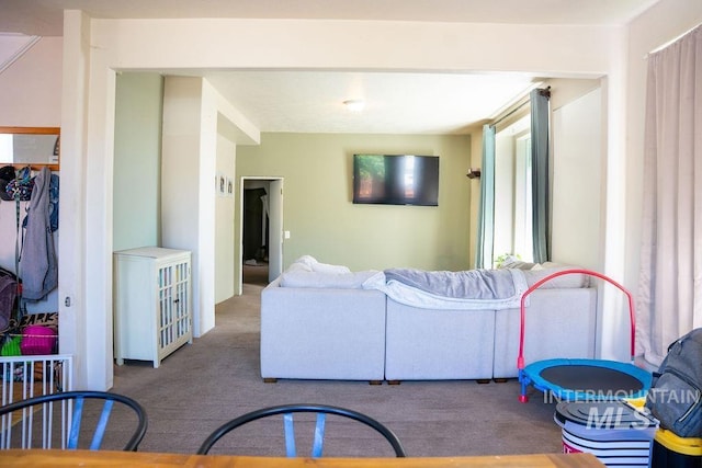 304 6th Ave, Lewiston, ID 83501 - living room with carpet