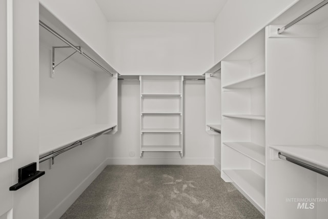 6920 N Spencer Way, Meridian, ID 83646 - walk in closet featuring carpet floors