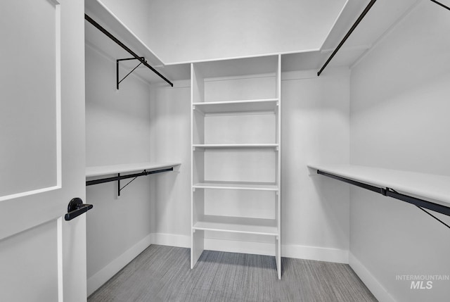 view of walk in closet