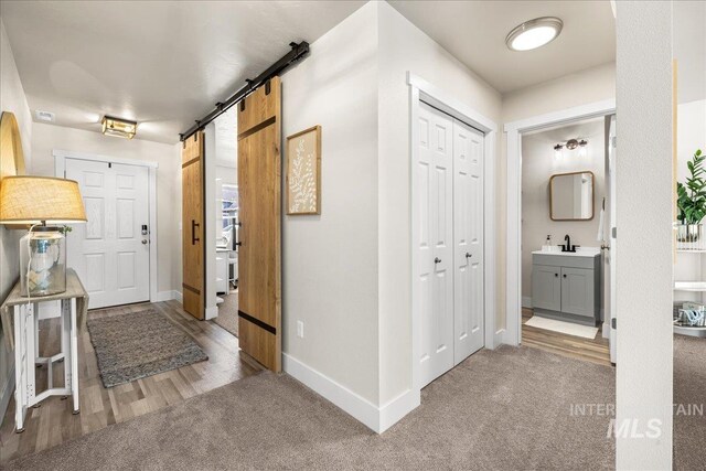 4447 W Everest St, Meridian, ID 83646 - carpeted entrance foyer with baseboards, a barn door, and a sink