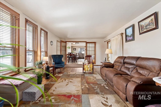 living room featuring wood finished floors