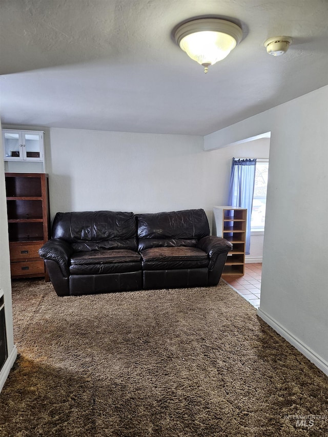 living room with carpet