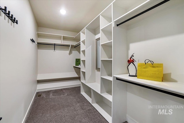 3160 Crescent Moon Rd, Twin Falls, ID 83301 - spacious closet featuring carpet flooring