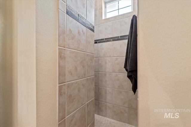 187 E Wishbone Ct, Boise, ID 83706 - bathroom view of a walk in shower and a textured wall