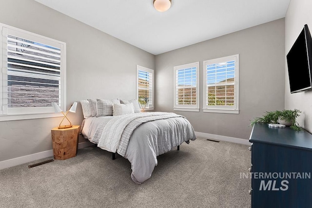 5557 E Hootowl Dr, Boise, ID 83716 - bedroom featuring carpet flooring and baseboards