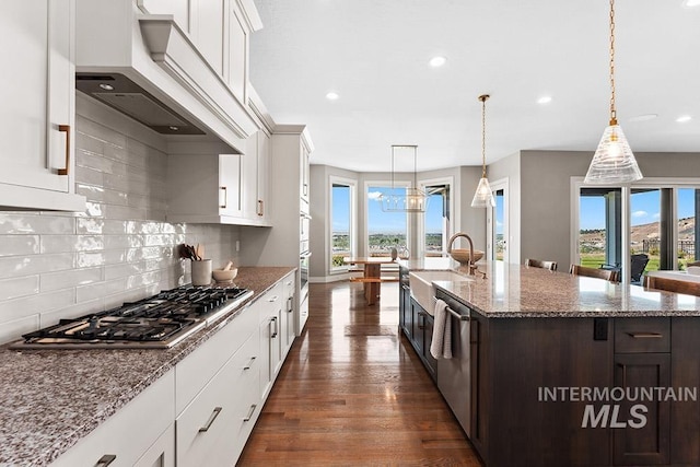 5557 E Hootowl Dr, Boise, ID 83716 - kitchen featuring appliances with stainless steel finishes, custom range hood, backsplash, dark wood-style flooring, and a sink