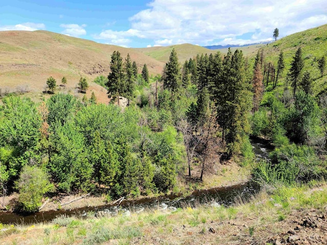 LOT5 Middle Fork Rd, Council, ID 83612