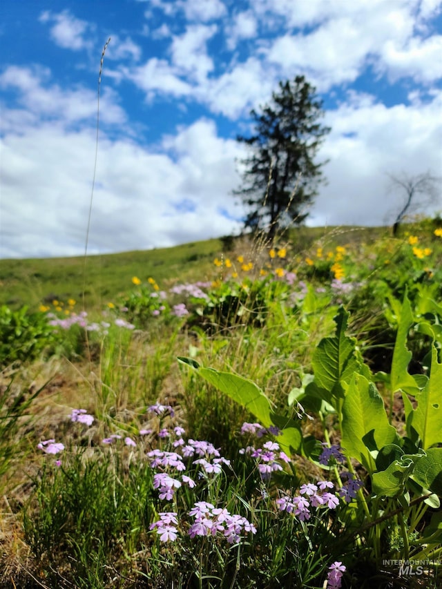 LOT5 Middle Fork Rd, Council, ID 83612