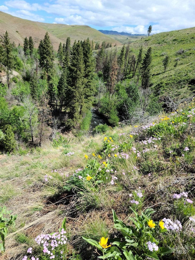 LOT5 Middle Fork Rd, Council, ID 83612