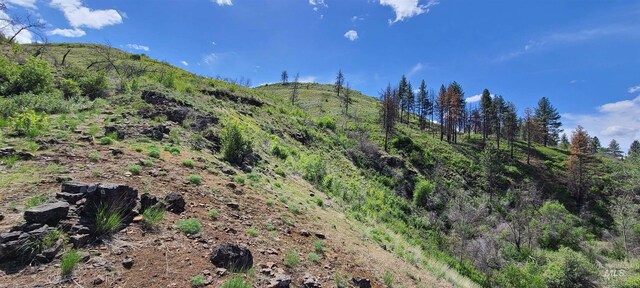 LOT5 Middle Fork Rd, Council, ID 83612