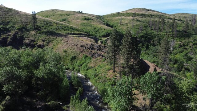 LOT5 Middle Fork Rd, Council, ID 83612