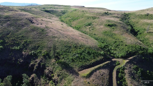 LOT5 Middle Fork Rd, Council, ID 83612