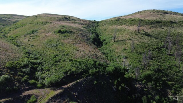LOT5 Middle Fork Rd, Council, ID 83612