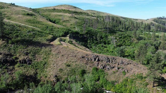 LOT5 Middle Fork Rd, Council, ID 83612