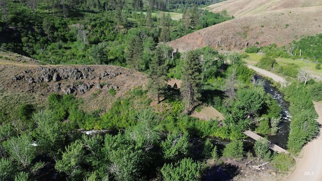 LOT5 Middle Fork Rd, Council, ID 83612