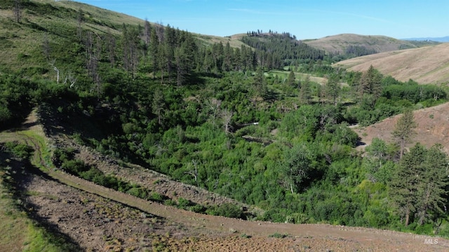 LOT5 Middle Fork Rd, Council, ID 83612